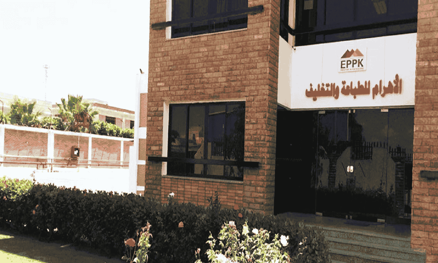 El Ahram for Printing’s net losses shrink 23% YoY in Q1 2025

